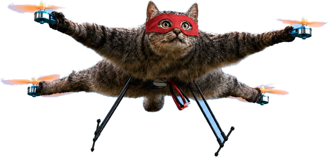 A tabby cat in a red mask, flying on four drone propellers