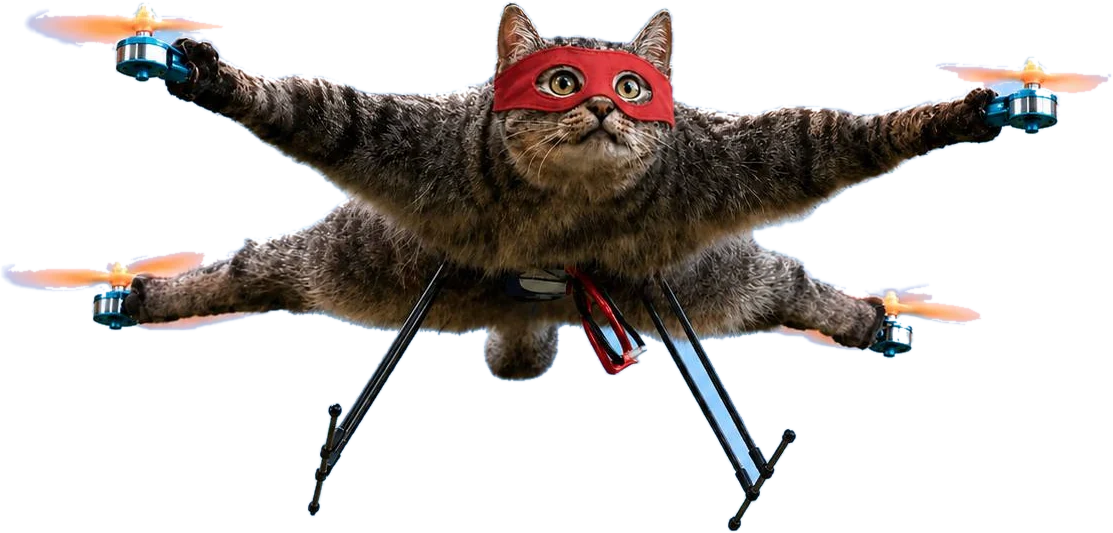 $REDCAT — the cat can fly
